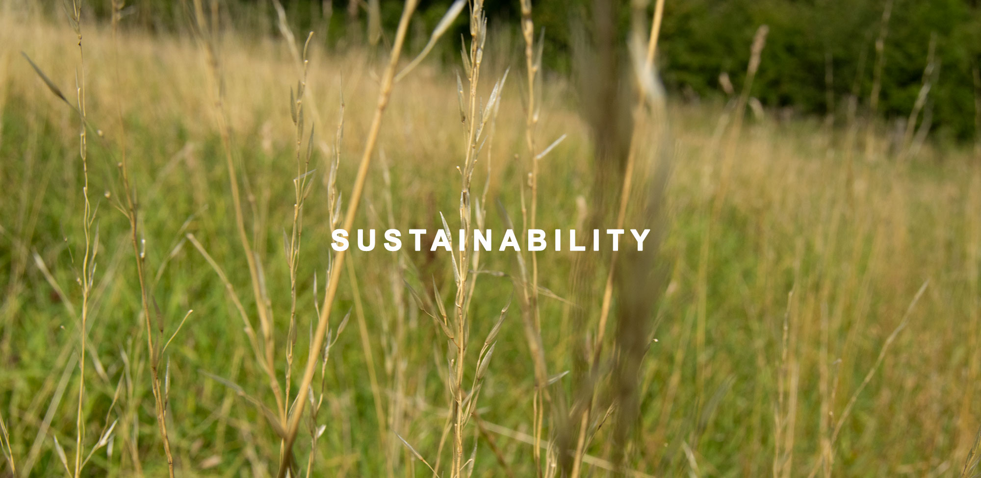 sustainability-2019-header-gushlow-and-cole