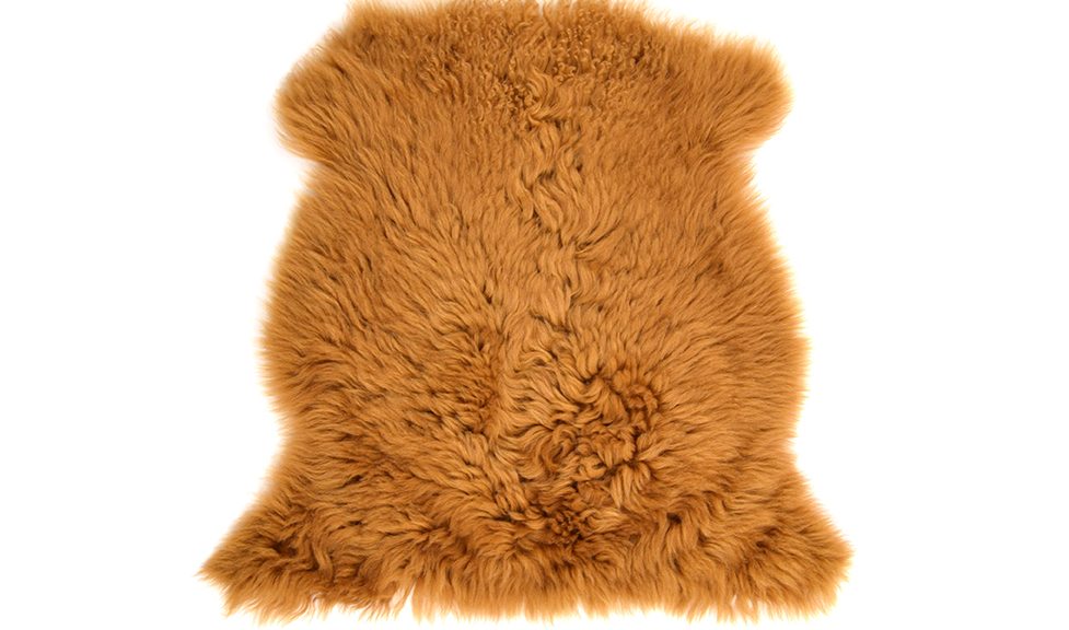 Small Curly Toscana Sheepskin Rug in Mustard Yellow cut out