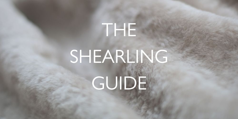 the shearling guide blog header